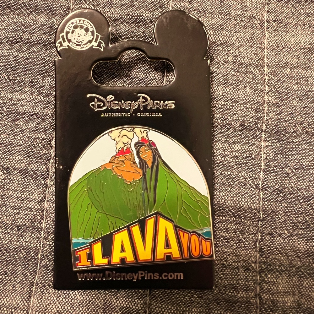 Disney Park Pin